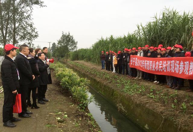 百名新型职业农民组团考察学习金牧粮草特色种养循环农业模式