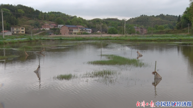 湖南祁阳小龙虾开启村民“致富门”