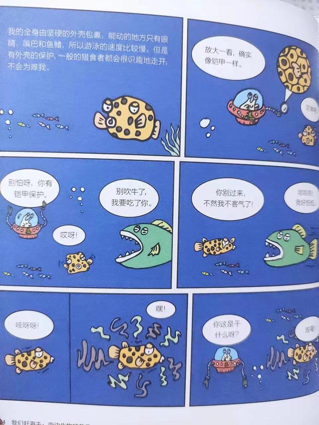 一年365天，海边生物们过哪些节日