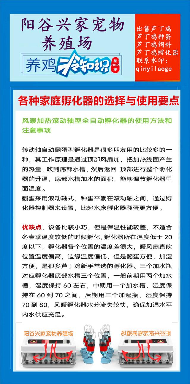 新手孵化芦丁鸡，各种家庭孵化器的选择与使用要点