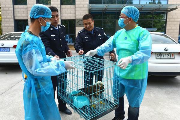 全国对禁食野生动物养殖户补偿已完成九成以上 河南9月底已全部落实