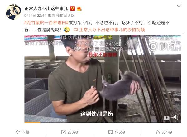 华农兄弟：整只竹鼠放油锅一炸，隔壁小孩都馋哭了