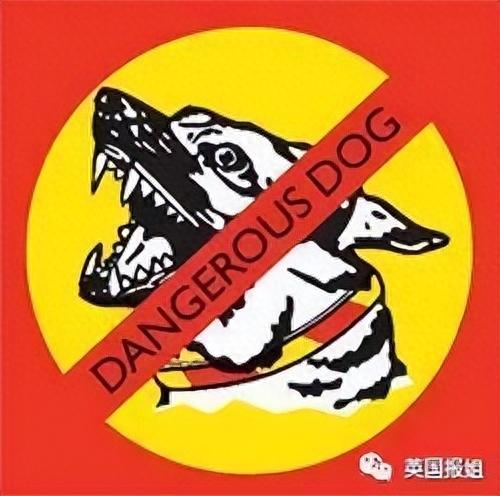 恶犬伤人，立即禁止养殖！