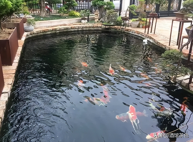 马友鱼的生物特征，以及其生态健康养殖技术