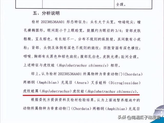 这事闹大了！给蛙做尸检，部级单位派员调查，局长突然改口了