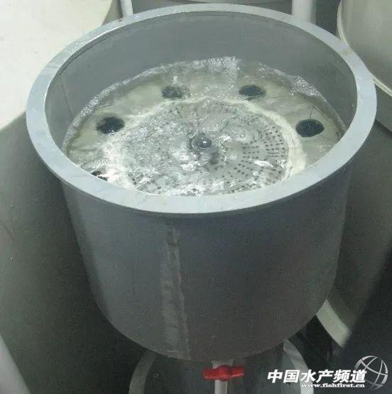 淡水工厂化循环水健康养殖技术介绍