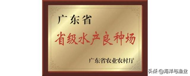 “建威牌高丰鲫”种苗 同品类最具影响力品牌鱼苗——广州市建波鱼苗场有限公司