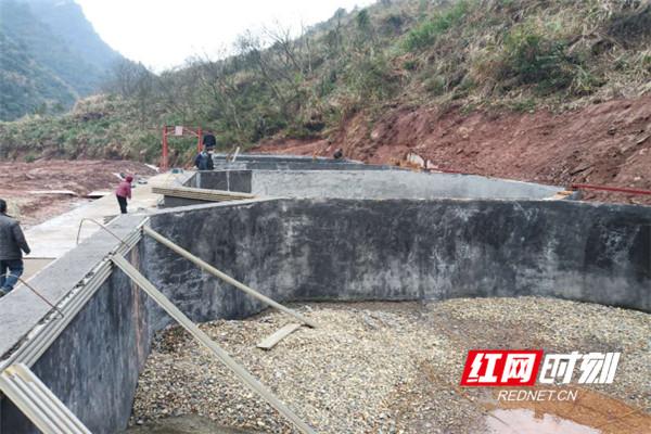 逐梦大洪溪——沅陵流水养殖示范基地见闻