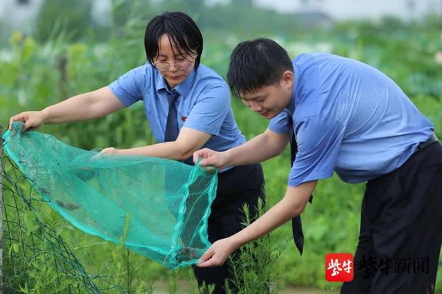 增殖放流，生态修复 4万只中华蟾蜍“回家”了