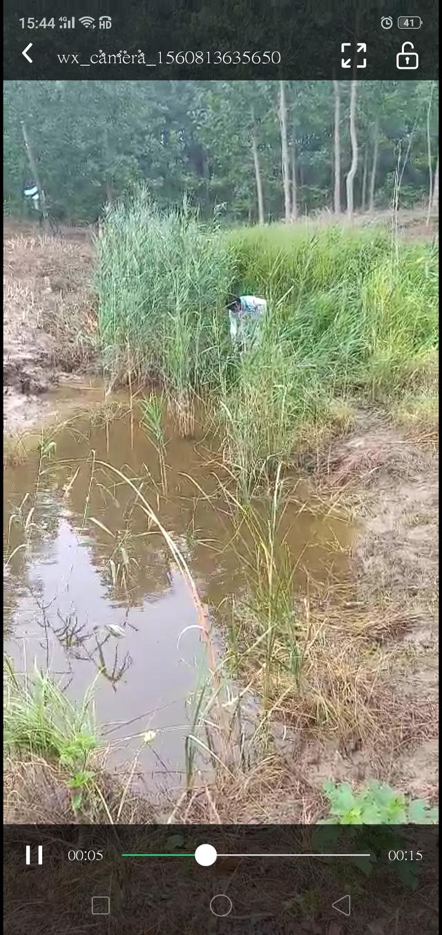 意外收获黄辣丁 鲫鱼照样也连竿……