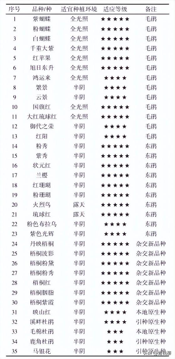 深圳地区杜鹃栽培养护技术