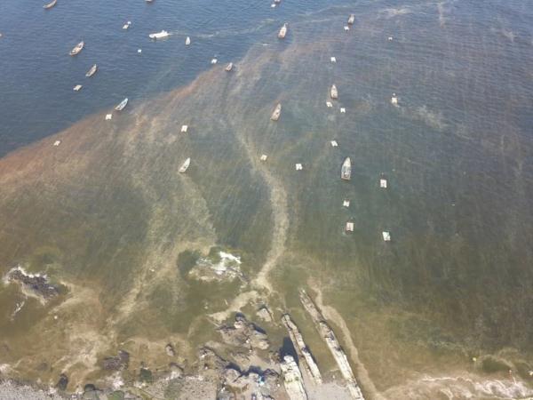 重要提醒！“荧光海”需警惕