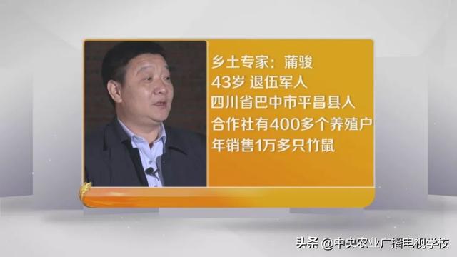 【田间示范秀】野放竹鼠保命战