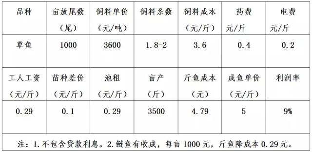 全篇重点！12种养殖鱼类利润分析，养鱼你养对了吗？