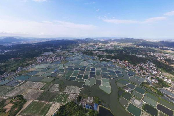 福建福清：鳗鱼淡水养殖助推乡村振兴