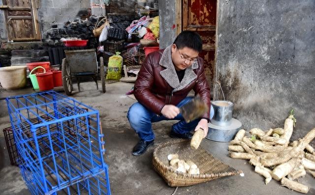 2010年，湖北小伙放弃高薪，返乡养豪猪，年入200多万羡煞旁人