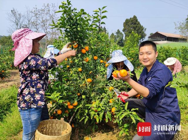 成都市简阳市兴隆村驻村第一书记：让村集体享受农旅融合发展红利