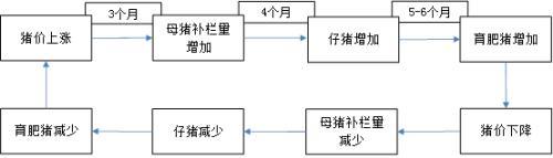 养殖行业：行业已经步入黑暗时刻 周期拐点依然临近