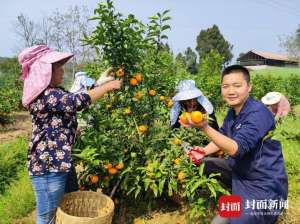 资阳野鸡养殖(成都市简阳市兴隆村驻村第一书记：让村集体享受农旅融合发展红利)