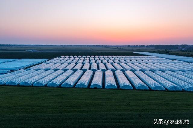 农业产业集群式发展存在问题与改进建议