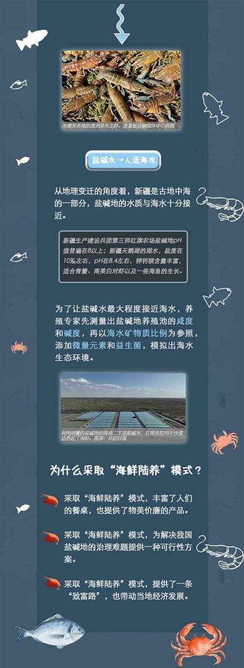 揭秘：新疆没有海，为啥能养海鲜？