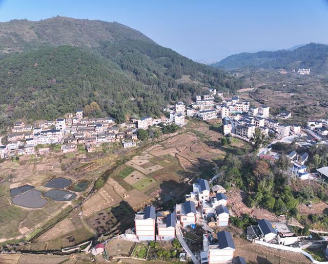 广西金鹅村：移民村成宜居村