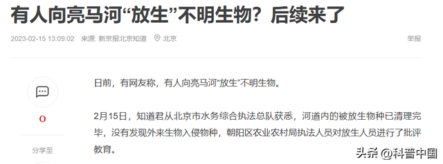 为何放生25000斤鲶鱼被罚5.8万？因为这种行为比“杀生”可怕多了