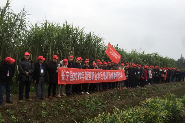 百名新型职业农民组团考察学习金牧粮草特色种养循环农业模式