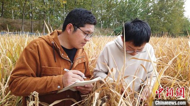 江苏宿迁：“稻虾鳝”生态种养结合模式获丰收