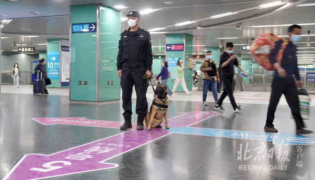 北京警犬训练基地用上了哪些高科技？现场独家揭秘