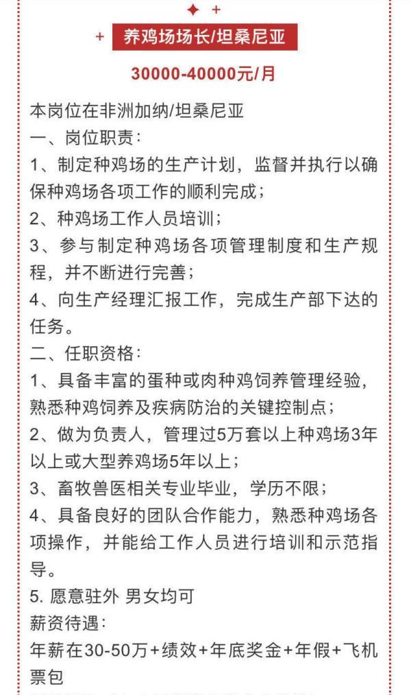 非洲养鸡月薪4万，老板发声：4万不好拿