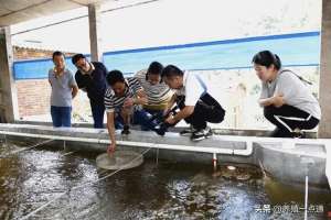 龙虾养殖池塘建设(猪场改虾塘、鳖塘、鱼塘，看中小散户退场玩出花儿)