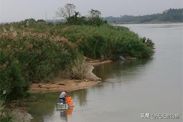 野钓鲤鱼正当时，牢记鲤鱼的3个习性，让你每次都不走空