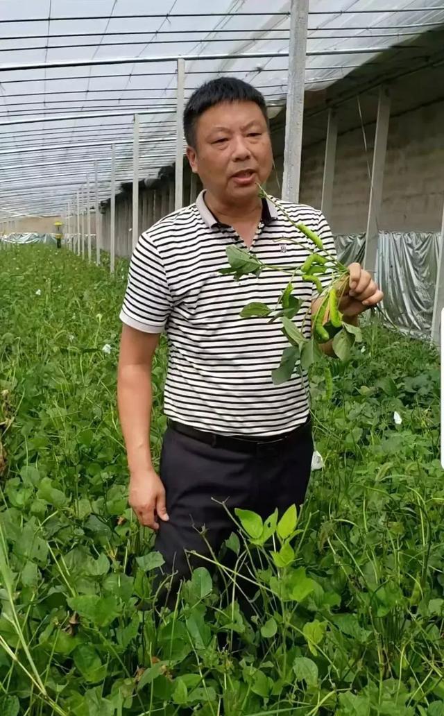 一条叫“豆丹”的虫子，被一顿煎炒烹炸成了美食名片