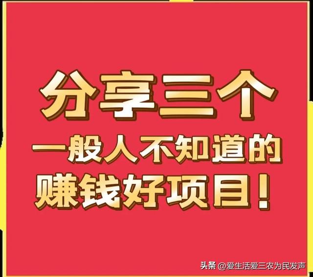 三个一般人不知道的赚钱项目，非常适合农村人，想致富的快来看