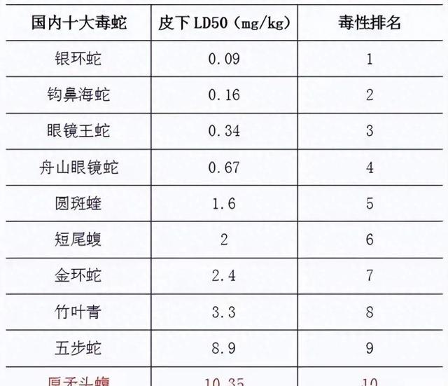 浙江男子野泳遇长蛇！水蛇无毒可食用？千万别，鸡冠蛇毒胜眼镜蛇