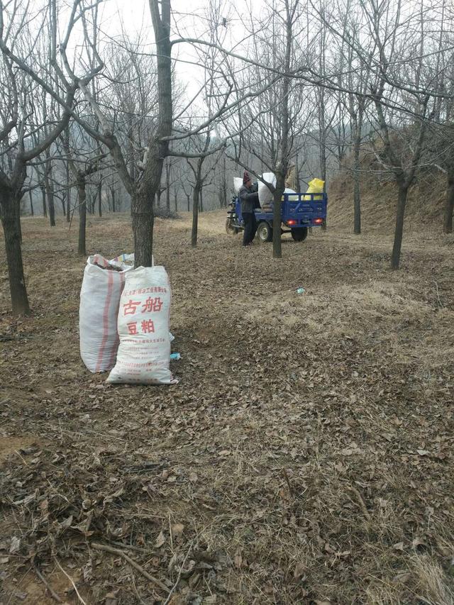 三门峡杜仲养生土鸡、土鸡蛋，养殖过程可谓“奢侈”！