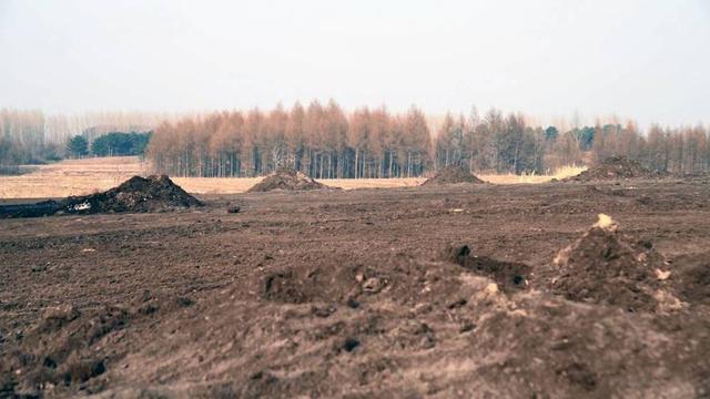 是谁在砸中国人的饭碗？400年才形成的黑土，4元一斤在网上被盗卖