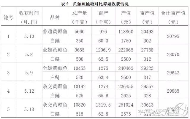 黄颡鱼池塘养殖分析，三个品种亩产值都过2万，选哪个？