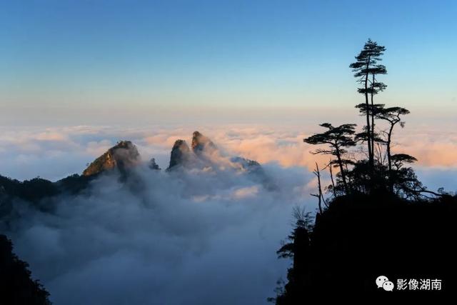 延期截稿！“湘粤福地·南岭之巅”中国莽山摄影大赛