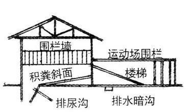 养羊需要多大场地？以100只羊计算和设计附图