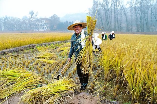 农民也要持证上岗了，你还能种地吗，不考能行吗