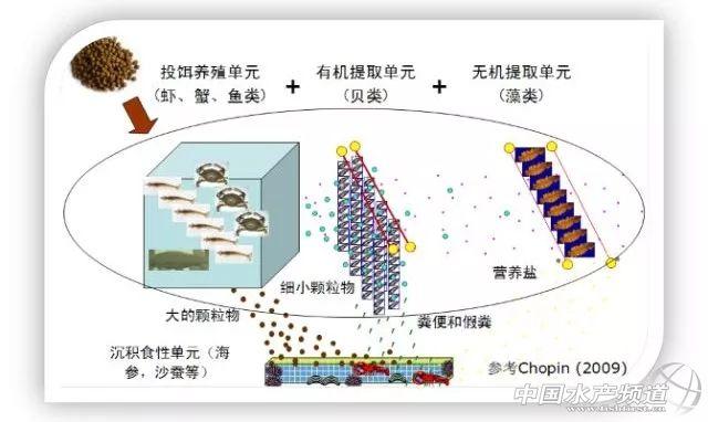 水产养殖新模式—“物联网+”，养鱼也能轻松体面