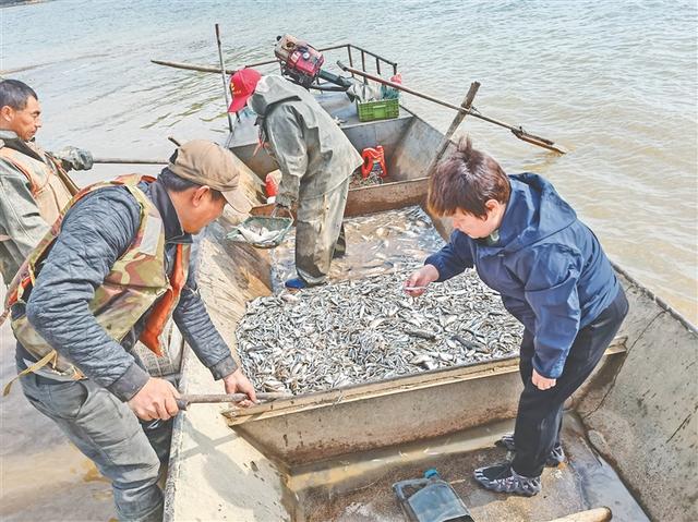 经济视点丨扩面增速接力 盘活龙江冷水鱼产业