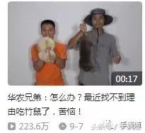 这只竹鼠好像中暑了？不如我们把它……