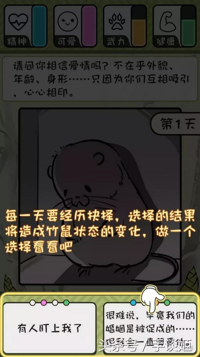 这只竹鼠好像中暑了？不如我们把它……