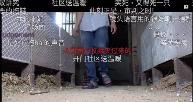 华农兄弟历险记：拍竹鼠视频走红全网，粉丝超500万年收入超30万