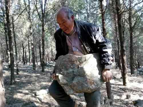 徐州父子两代“愚公” 信守百年合同荒山变青山