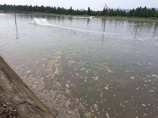 如何判断水是肥水还是浓水呢