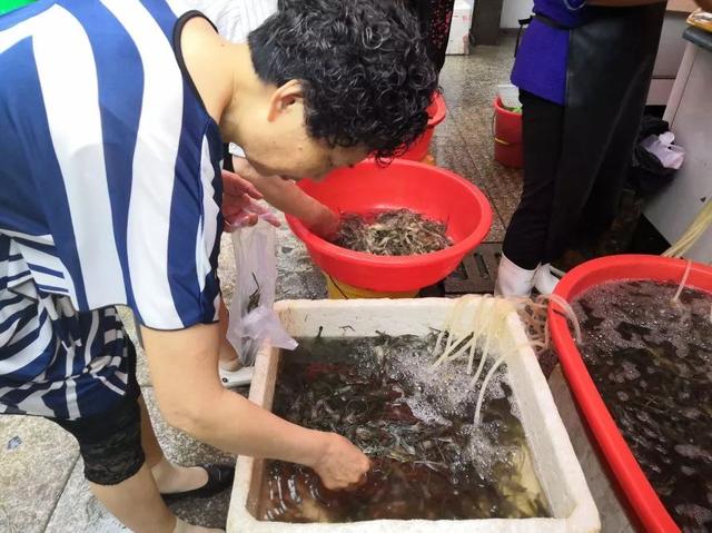 赶紧去菜市场！含山的河虾价格大降